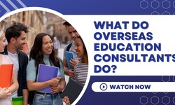 What Do Overseas Education Consultants Do?