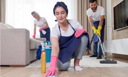 Keeping It Clean: Apartment Cleaning Tips for Urbana Residents