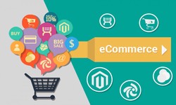 Why You Should Consider a Skilled E-commerce Web Developer