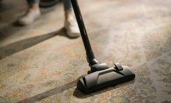 Revitalize Your Space: Unveiling Expert Carpet Cleaning Services in NY