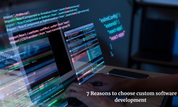7 Reasons to Choose Custom Software Development over Packaged Software for Your Firm