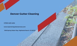 Denver Gutter Cleaning Services offers by Top Notch Gutter Services