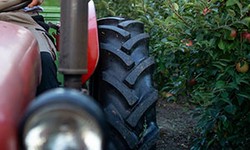 How to Save Time and Money with Efficient Tractor Mowing?