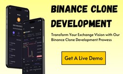 Ensuring Security and Trust on Your Binance Clone Exchange