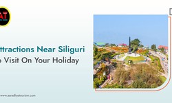 Attractions Near Siliguri To Visit On Your Holiday