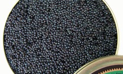 Aquafarming Innovations: The Future of American Bowfin Caviar