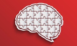 The Intersection of Intelligence and Entertainment: How Puzzles Shape Our Minds