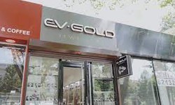 EV Gold MD: Revolutionizing Energy Storage with Moldovan Innovation