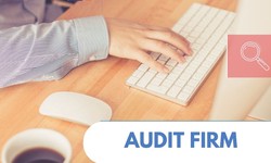 Streamlined Audit Processes at a Small Firm in Singapore