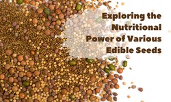 Exploring the Nutritional Power of Various Edible Seeds