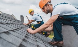 A Comprehensive Guide to Roof Replacement in Auckland: Ensuring Durability and Protection