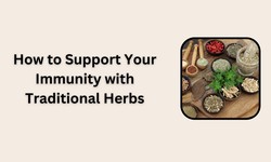 How to Support Your Immunity with Traditional Herbs