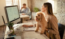 Emotional Support Animals in the Workplace: A Paw-sitively Productive Solution