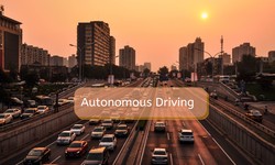 Data Annotation Types to execute Autonomous Driving