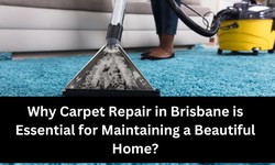 Why Carpet Repair in Brisbane is Essential for Maintaining a Beautiful Home?