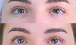 Elevate Your Look: Exploring Lash Lift and Tint Services in Melbourne with IraBale Brows