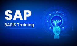 Why You Must Learn SAP BASIS In 2023?