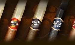 From Wrapper to Filler: Understanding the Anatomy of Black and Mild Cigars