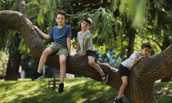 The Health-Boosting Power of Outdoor Play