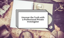 The Personal Investigator's Role in Detecting Fraud