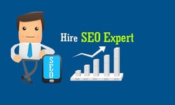The Quest for the Perfect SEO Freelancer in Delhi