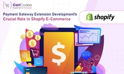 Payment Gateway Extension Development's Crucial Role in Shopify E-Commerce