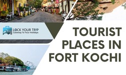 Top 10 Tourist Places in Kochi For a Fascinating Vacation