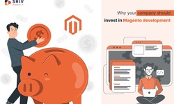 Why your company should invest in Magento development