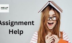 Assignment Help: Discover Exceptional Assistance From Our Experts