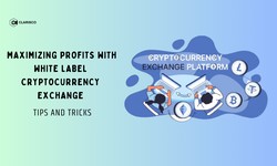 Maximizing Profits with White Label Cryptocurrency Exchange: Tips and Tricks