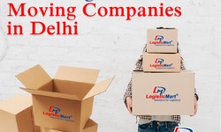 How Packers and Movers in Dwarka Will Help You In PG Shifting?