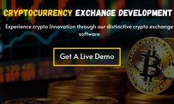 Essential Steps to Build a Successful Crypto Exchange with a Development Company
