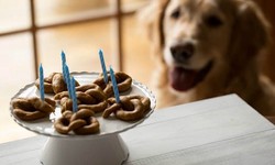 Pamper Your Pup: Exploring the World of Delicious Dog Treats