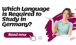 Which Language is Required to Study in Germany?