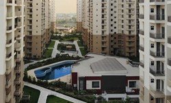 Investing in Villas in Noida Extension: Why It's a Smart Choice