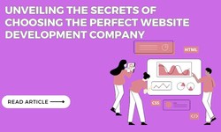 Unveiling the Secrets of Choosing the Perfect Website Development Company