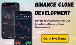 Why is Binance Clone the Perfect Solution for Launching Your Crypto Exchange?