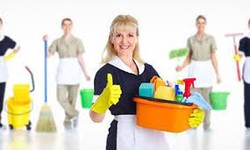 Six Star Cleanliness: The Unmatched Excellence of Cleaning Ladies in Toronto