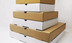 From Slice to Style: The Evolution of Pizza Boxes