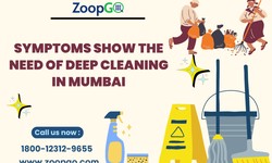 5 Warning Signs where you need to conduct Deep cleaning in Mumbai