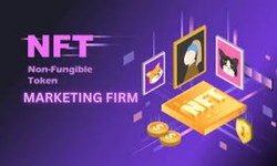 Elevate Your NFT Success: How an NFT Marketing Firm Can Make the Difference