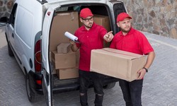 The Ultimate Guide to Cold Storage Van Hire: Everything You Need to Know