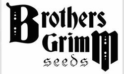 What Is The Qualities of Superior Brothers Grimm Seeds for Sale