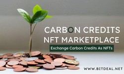Applications of Carbon Credits NFT Marketplace: Exploring With Real-Time Examples
