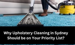 Why Upholstery Cleaning in Sydney Should be on Your Priority List: Benefits of Professional Services