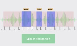 Data Annotation is used for Speech Recognition