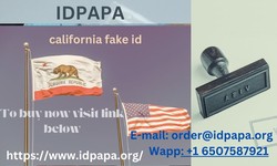 The Golden State's Gateway: The Significance of IDs in California