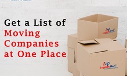 The Roles of The Packers and Movers in Agra in Home Shifting