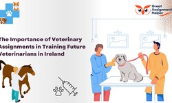 The Importance of Veterinary Assignment Help in Training Future Veterinarians in Ireland