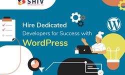 Hire Dedicated Developers for Success with WordPress